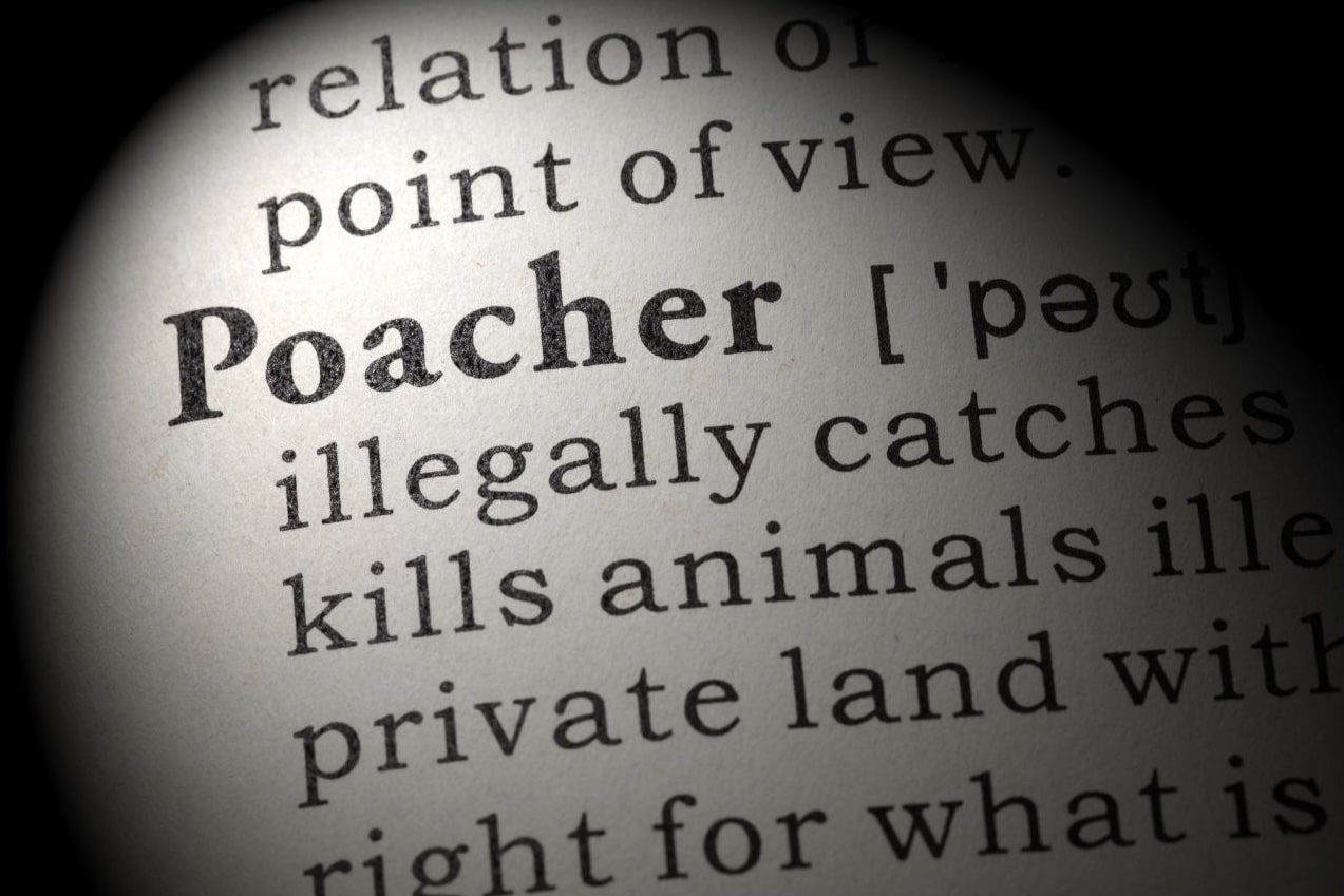 Poacher defined