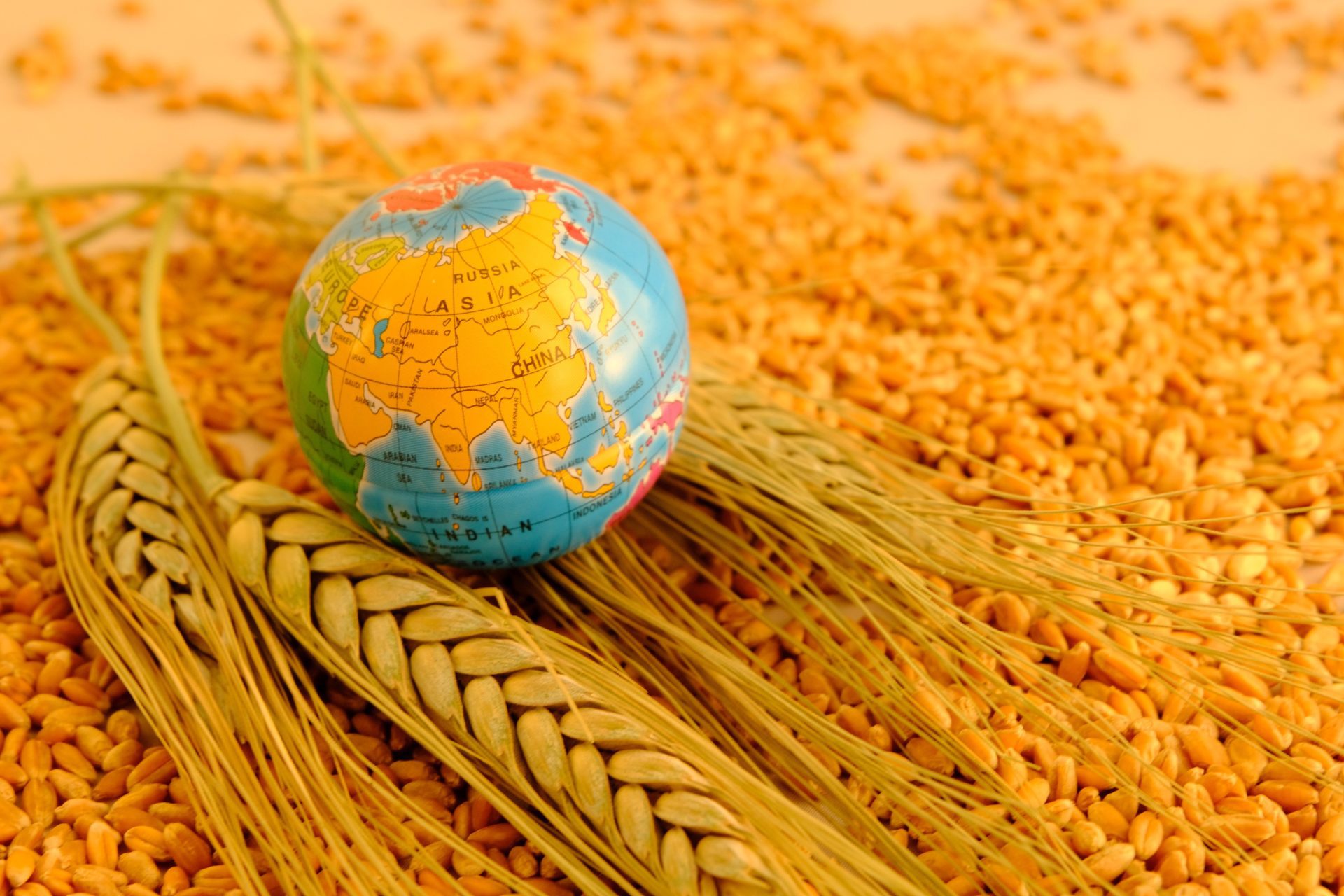 Ukraine and Russia are two of the world's biggest wheat exporters.