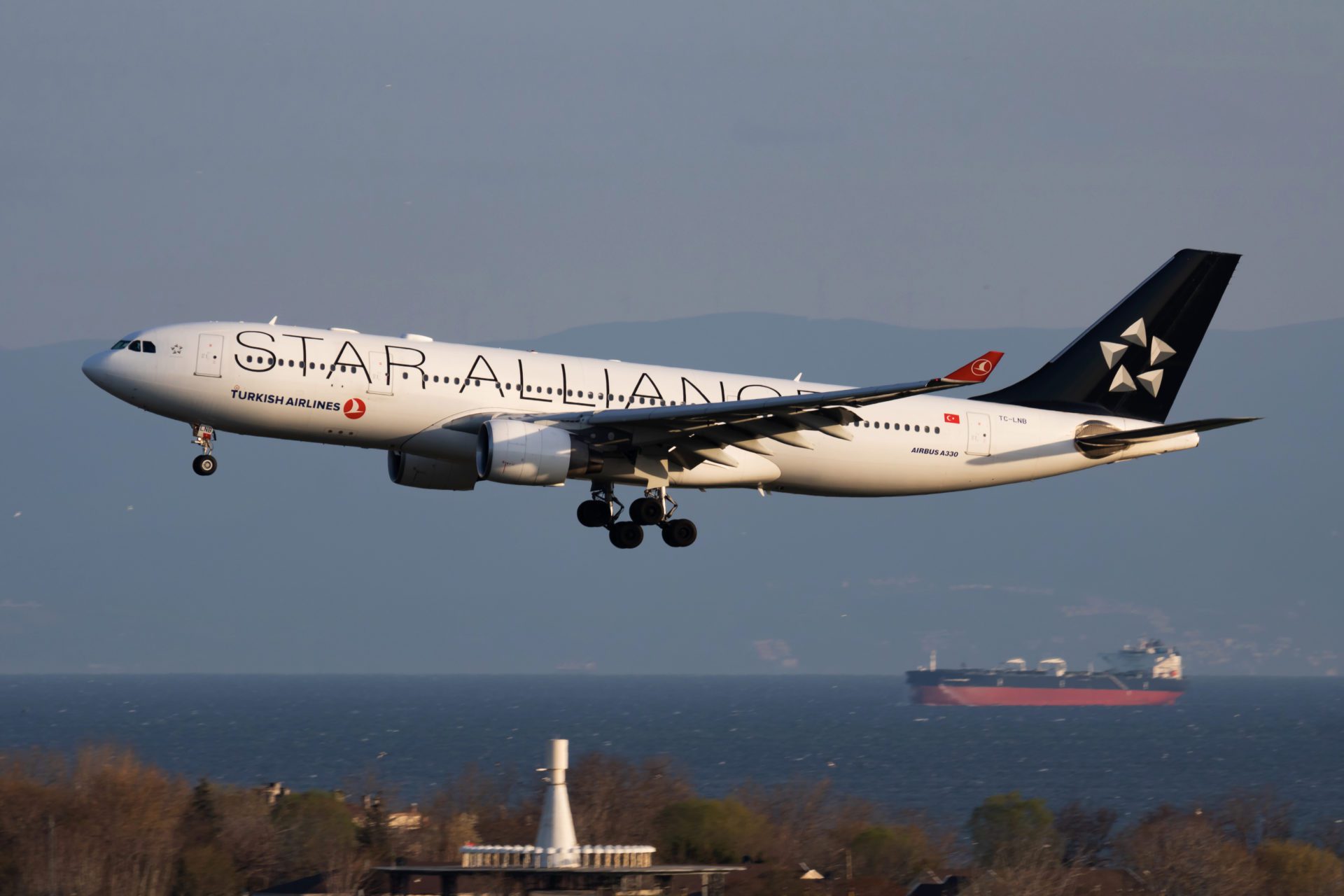 Turkish Airlines is part of Star Alliance. Photo credit: Shutterstock