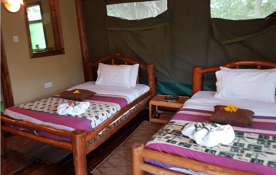 Rushaga Lodge is a convenient place to stay when visiting Bwindi Impenetrable Forest, Uganda. Photo credit: Mimi Kay