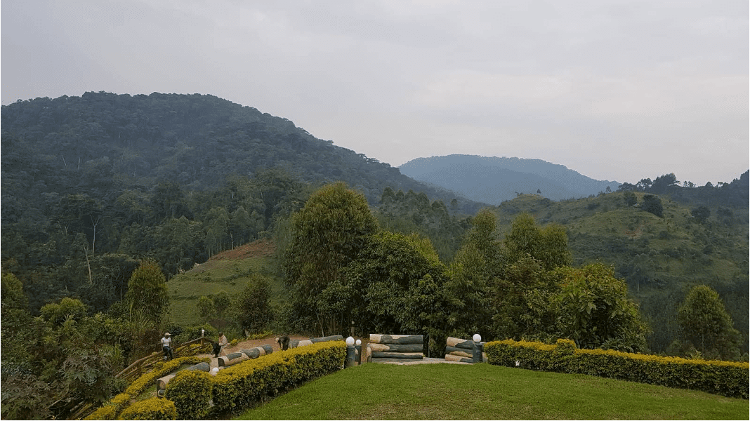 Untouched views of Bwindi Impenetrable Forest, Uganda. Photo credit: Mimi Kay